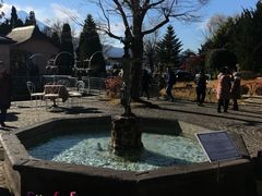 -河口湖八音盒之森美术馆