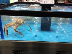 -麦德龙(郑东店)