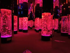 -成都浩海立方海洋公园