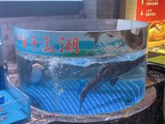 -四季厨房 鲁菜·孔府烤鸭(高新万达店)