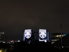 -钱江新城灯光秀