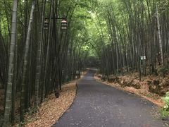 -苏州环秀晓筑养生度假村