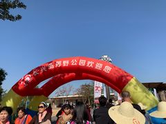 -上海长兴岛郊野公园