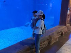 -华夏文旅西安度假区