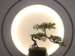 -席仁堂推拿按摩脊柱调理(世纪科贸大厦店)
