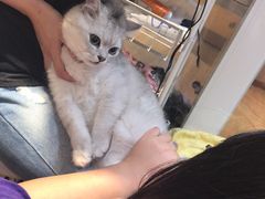 -Pets First伊珊娜洗护·精致美容·家庭式寄养(新会路店)