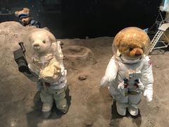 -济州岛泰迪熊博物馆