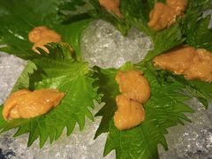 海胆刺身-初花·日本料理