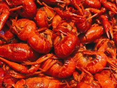 -杯莫亭(集里店)