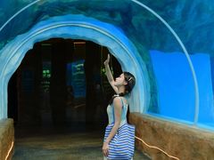 -香港海洋公园