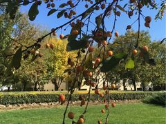 -北京国家会计学院