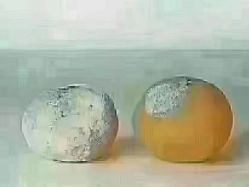 -蕾特恩专业祛痘·皮肤管理