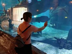 -华夏文旅海洋公园