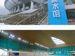 -重庆市奥林匹克体育中心-游泳跳水馆