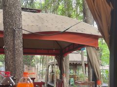 -二荆条·蜀鲜汇城市森林火锅