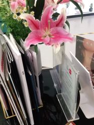 -联合丽格·张菡丽格医疗美容