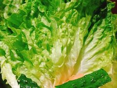 生菜-喜鹊烤肉酒场(美乐城店)