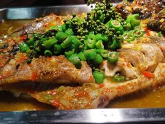 -鱼酷活鱼烤鱼(昆明路店)