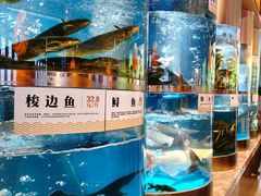 -老船舫·现做活鲜鱼馆(东郊记忆店)