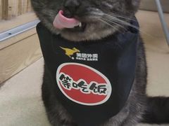 -芭比堂动物医院广州顽皮分院