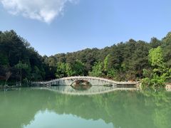 -铁山坪森林公园