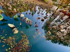 -白塘生态植物园