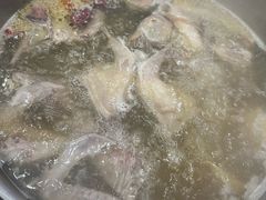 -鸽鸟轩(石岐店)