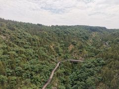 -皇藏峪国家森林公园