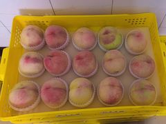 -老袁家蜜桃农场·阳山水蜜桃