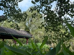 -国恩寺