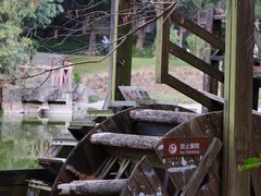 -深圳国际园林花卉博览园