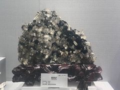 -湖南省地质博物馆