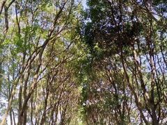-同里国家湿地公园