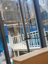 -PIPIKINGDOM皮皮王国欢乐号(欢乐海岸购物中心店)