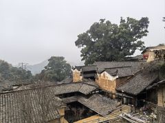 -杨家堂村