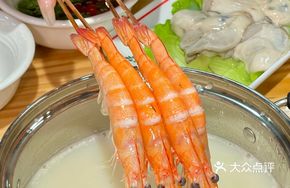 Freshly Caught Shrimp
