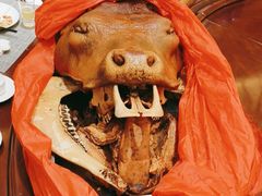 -白鹿苑蒙餐(鄂温克宾馆店)