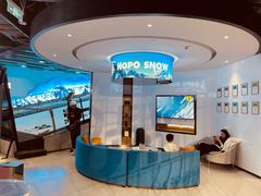 -Hopo Snow 城市滑雪空间(来福士广场购物中心店)
