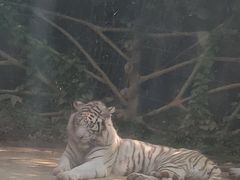 -西宁福茵长乐国际大酒店