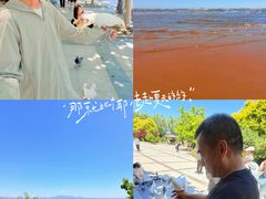 -秦皇岛野生动物园