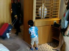 优雅客房-新加坡文华东方酒店