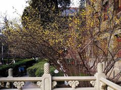 -陕西师范大学(雁塔校区)