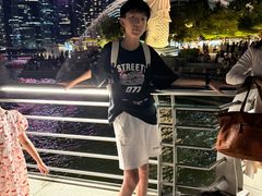 -鱼尾狮公园
