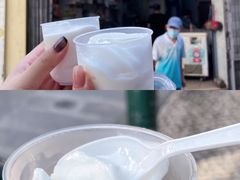 -洪馨椰子