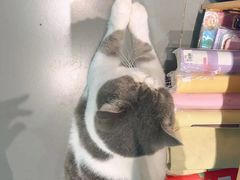 -解忧集市(北京路天河城店)