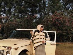 景点-南沙蒲洲花园