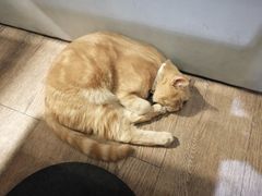 -小时光咖啡馆(开森度假森林店)