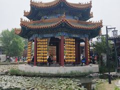 -曹州牡丹园