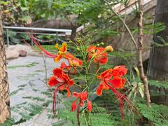 -北京植物园-展览温室