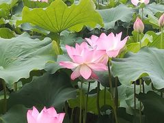 -雀儿山公园